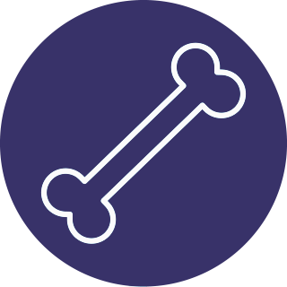 Haustierversorgung Haustierversorgung